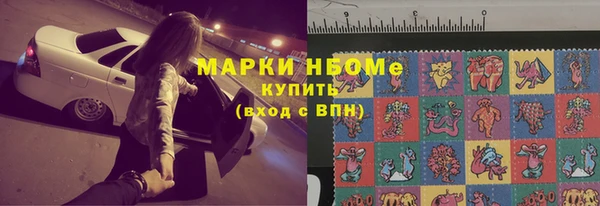 индика Краснотурьинск