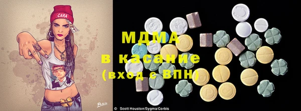 индика Краснотурьинск