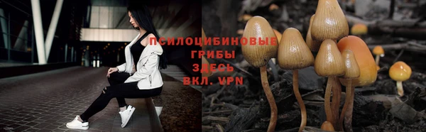 индика Краснотурьинск