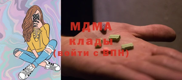 индика Краснотурьинск