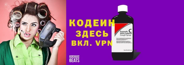 индика Краснотурьинск