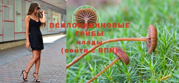 индика Краснотурьинск
