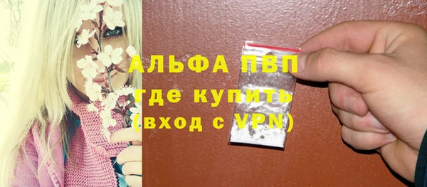 индика Краснотурьинск
