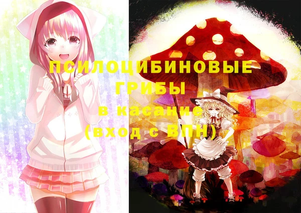 индика Краснотурьинск