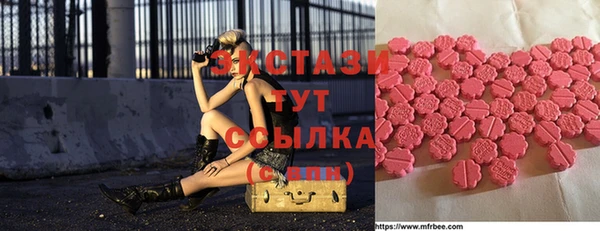 индика Краснотурьинск