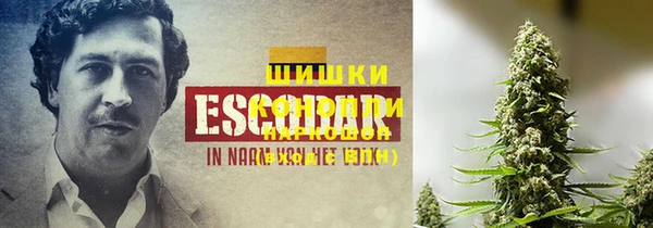 индика Краснотурьинск