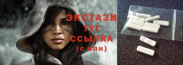 индика Краснотурьинск